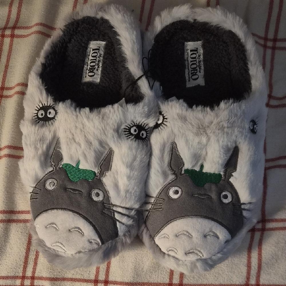 Gray and Green TOTORO Slippers